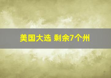 美国大选 剩余7个州